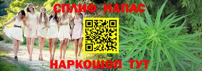 гидра Новодвинск