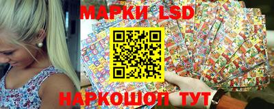 гидра Новодвинск
