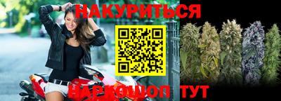 гидра Новодвинск
