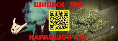 гидра Новодвинск