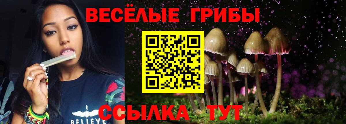 Псилоцибиновые грибы мухоморы  Вход с VPN  Торжок 