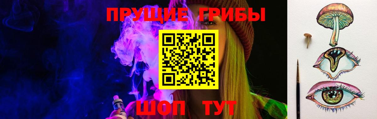 Галлюциногенные грибы Psilocybine cubensis Торжок